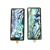 304 Stainless Steel Pave Natural Paua Shell Stud Earring Findings STAS-Z125-04G-1