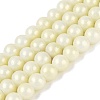 Baking Paint Glass Pearl Beads Strands DGLA-ZX001-05A-04-1