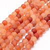 Frosted Natural Carnelian Beads Strands G-F372-8mm-1