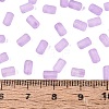 FGB Frosted Transparent Glass Seed Beads SEED-N013-05A-07-4