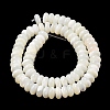 Natural Trochus Shell Beads Strands SHEL-P017-06-2