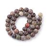 Natural Flower Agate Beads Strands G-Q462-10mm-34-2