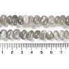 Natural Grey Moonstone Beads Strands G-G053-C10-01-5