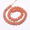 Natural Sunstone Beads Strands G-J363-10-6mm-2