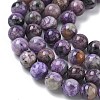 Natural Charoite Beads Strands G-C270-O02-05-4