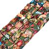 Natural Imperial Jasper Beads G-Q606-43A-06-5