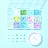DIY Column Glass Seed Beads Bracelets Making Kits SEED-FS0001-38-6