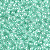 FGB Glass Seed Beads SEED-Q040-08A-10-3