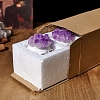 3Pcs Halloween Theme Natural Amethyst Chips Topped Skull Figurine PW-WG7246E-01-4