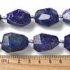 Natural Lapis Lazuli Beads Strands G-H095-A09-01-4