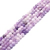 Natural Lepidolite/Purple Mica Stone Beads Strands G-P457-A04-01-1