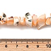 Natural Trochid Shell/Trochus Shell Beads Strands SHEL-B003-02B-4