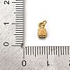 304 Stainless Steel Micro Pave Cubic Zirconia Pendants STAS-R167-01A-G-3