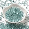 Baking Paint Glass Seed Beads SEED-K009-03B-15-2