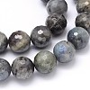 Natural Labradorite Round Bead Strands G-O094-06-16mm-2