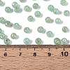 Picasso Baking Paint Glass Seed Beads SEED-N007-35D-4