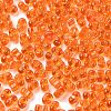 Glass Seed Beads SEED-A033-03A-01-2