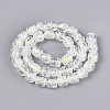 Handmade Foil Lampwork Beads Strands FOIL-T008-01H-1