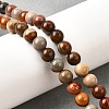 Natural Picture Jasper Beads Strands G-S390-07-6mm-1