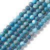 Natural Apatite Beads Strands G-K193-7mm-12-1