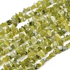 Natural Jade Chip Beads Strands G-B160-B02-2