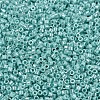 MIYUKI Delica Beads SEED-JP0008-DB1567-3
