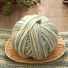 Cashmere Segment Dyed Yarn PW-WG4CBEA-02-1