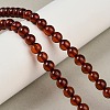 Natural Amber Beads Strands G-Z100-A02-5mm-02-1
