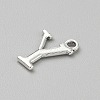 Alloy Pendants FIND-TAC0038-01AS-25-2