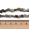 Natural Labradorite Beads Strands G-Q060-D02-5