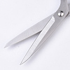 Stainless Steel Scissors TOOL-S013-003-5