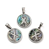 304 Stainless Steel with Paua Shell Pendants STAS-G268-02X-P-1