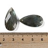 Natural Labradorite Pendants X-G-C140-05J-3