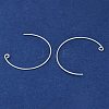 Brass Earring Hooks KK-C069-01S-2