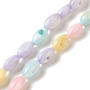 Rainbow Color Dyed Natural Freshwater Shell Beads Strands SHEL-G018-02H-1