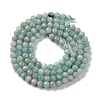 Natural Amazonite Beads Strands G-A235-A04-01-3