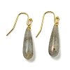 Ion Plating(IP) Natural Labradorite Dangle Earring EJEW-C084-01G-04-1