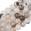 Natural Dendritic Agate Beads Strands G-C011-10mm-01-2