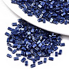 FGB 2-Hole Glass Seed Beads SEED-S031-M-SH128-1