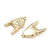 304 Stainless Steel Pendants SA-CBA3037-17G-01-2