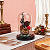 Arch Glass Dome Cover AJEW-WH0596-866A-03-4