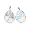 Opalite Pendants G-G900-01P-05-2