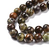 Natural Green Opal Beads Strands G-C242-01B-4