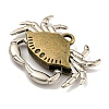 Tibetan Style Alloy Pendants FIND-C052-20AB-2