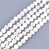 Freshwater Shell Beads Strands SHEL-S276-15B-1