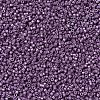 MIYUKI Delica Beads SEED-X0054-DB1173-3