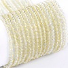Electroplate Glass Beads Strands EGLA-F149-FR-06-1