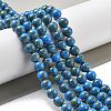 Synthetic Gold Line Turquoise Beads Strands G-A255-A03-01A-4