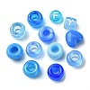 250Pcs Transparent & Opaque Acrylic Beads and Plastic Beads Kits DIY-FS0006-08-2