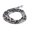 Natural Sodalite Beads Strands G-J400-A06-01-3